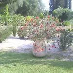 Jioia Studios